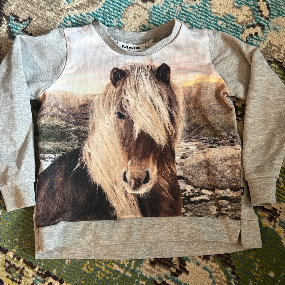 Molo Kids Grey Horse Graphic Sweatshirt size 104 (4T)